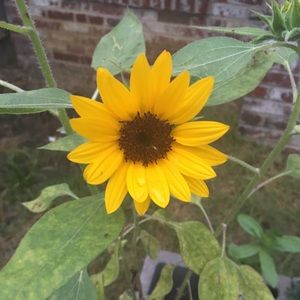 Meet your Posher, Cynthia